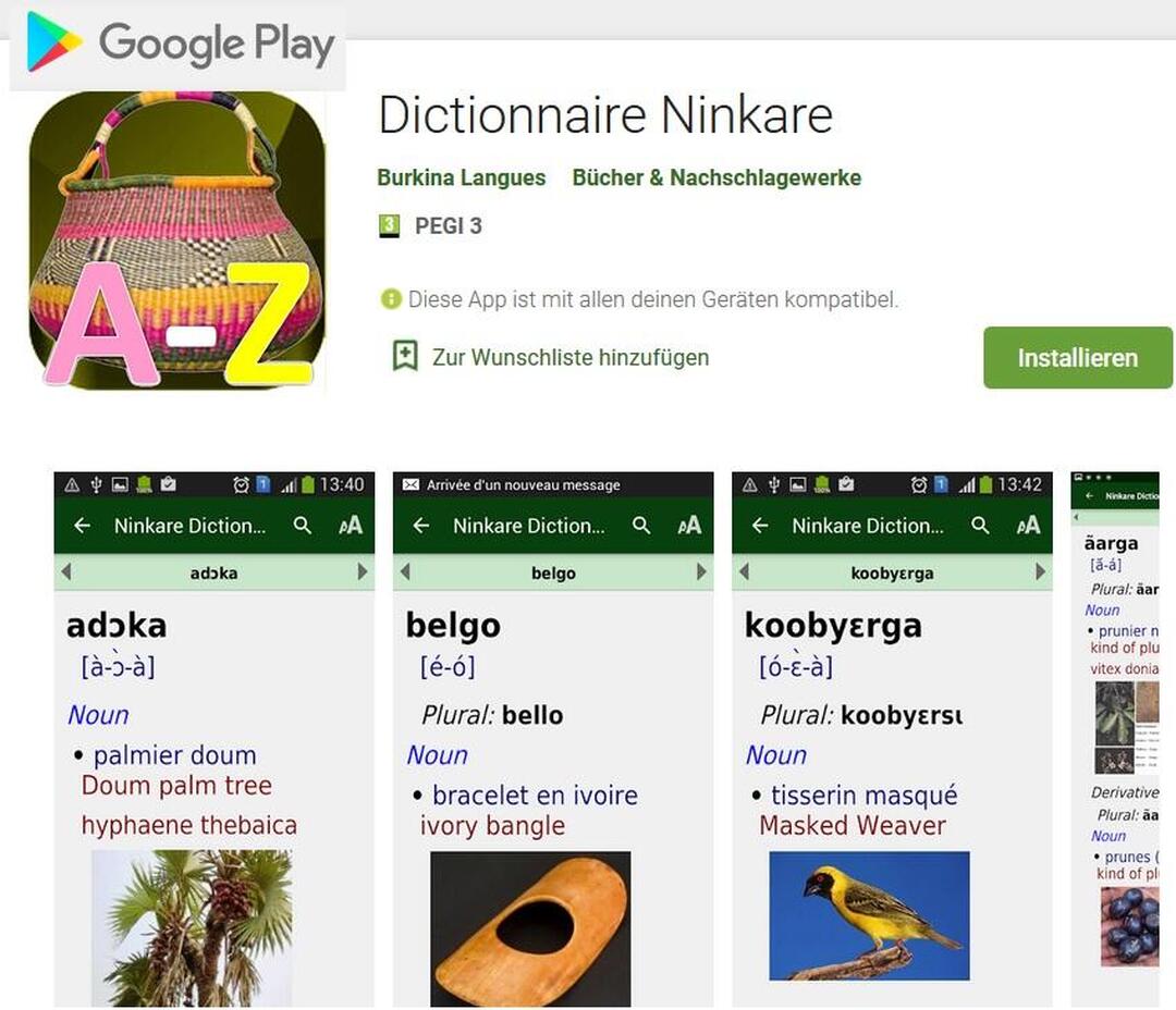 Appli Dictionnaire Ninkare.jpg